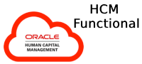 HCM Functional Basic